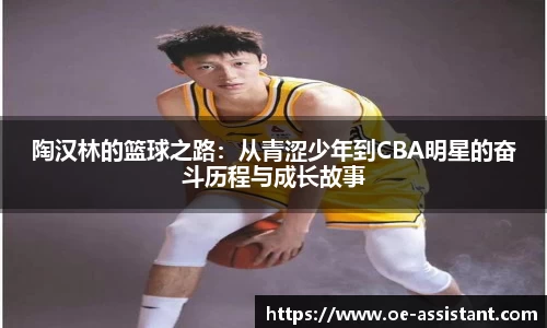 球速体育平台登录入口